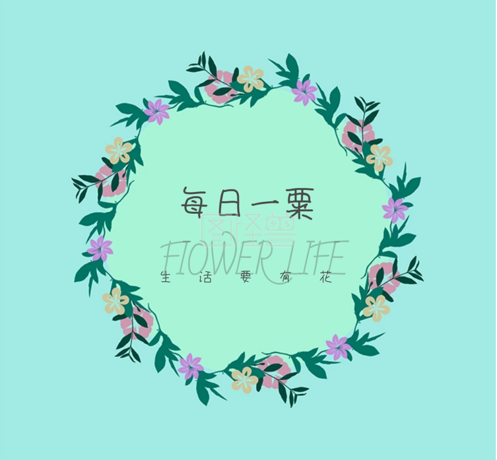 每日一粟清新花店封面