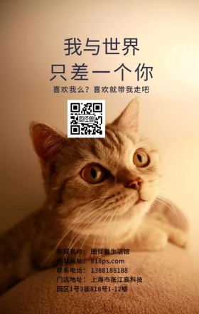 宠物狗狗寻觅新主人文艺宣传日签