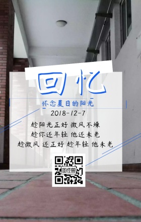 回忆夏天相片日签