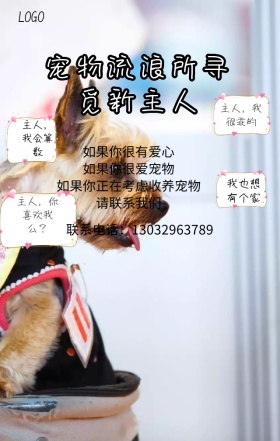 宠物流浪所寻找新主人可爱卡通日签