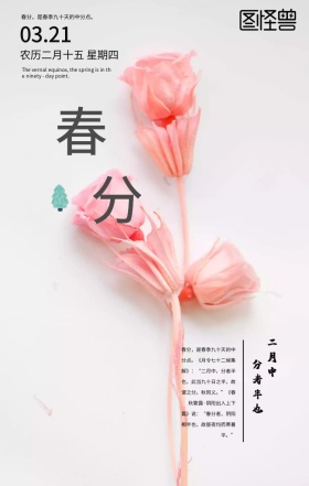 春分中国风传统节气简约古风手机海报