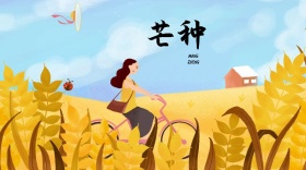 芒种简约手绘公众号封面模板