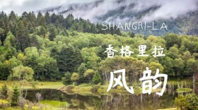 香格里拉风韵公众号封面