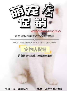 宠物海报 