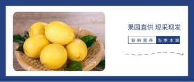新鲜营养 当季水果 果园直供 现采现发 简约清新水果促销公众号封面