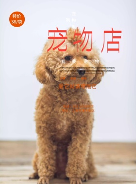 宠物 