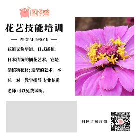 职业技能培训花艺培训班简约公众号配图