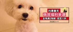 狗粮狂欢节白色简约淘宝banner