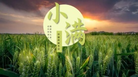 小满手绘开心公众号封面模板