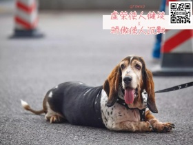 成长 公众号横板配图