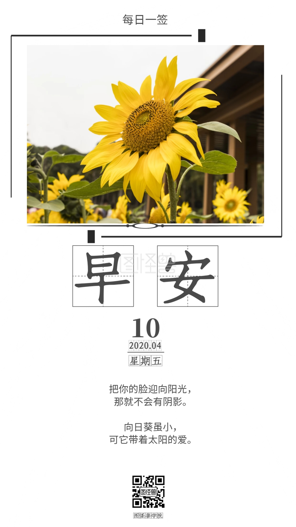 励志向日葵白色简约日签
