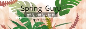 植物狂欢节绿色简约淘宝banner