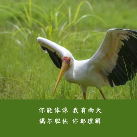 雨天简约文艺小清新公众号正方形配图