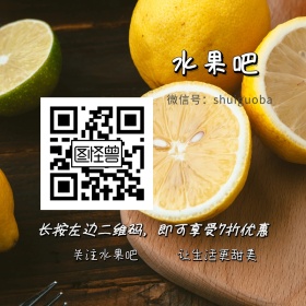 水果吧  橘子 蓝色清新公众号封面配图