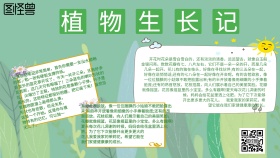 植物生长记手抄报绿色简约