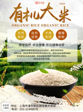 绿色创意大米农业产品宣传单