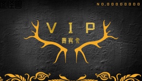 VIP会员贵宾卡简约黑金