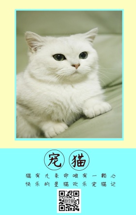 宠猫 猫有九条命唯有一颗心 快乐的星猫欢乐宠猫记 卡通宠物猫之日可爱手机海报