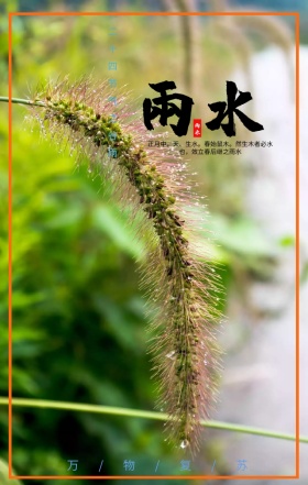 谷雨唯美卡通插画小清新H5海报模板