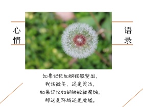 心情语录风景摄影风公众号横版配图模版