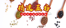 抽象麦穗公众号封面