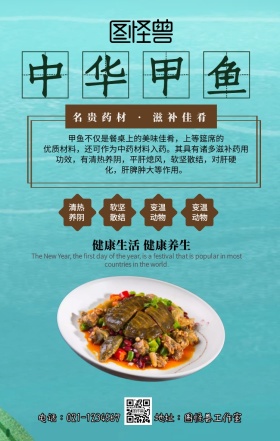中华甲鱼主题手机海报