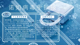 诺如病毒手抄报医疗