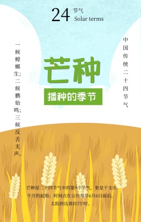 芒种传统二十四节气灰色简约清新手机海报