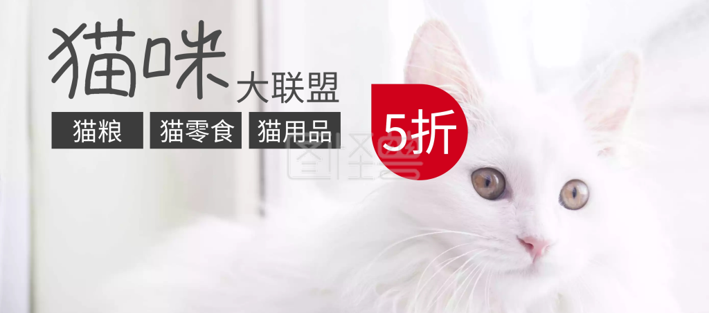 猫咪用品宠物狂欢节banner图片