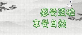感受淡雅享受自然公众号封面