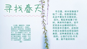 创意卡通扁平简约寻找春天手抄报海报