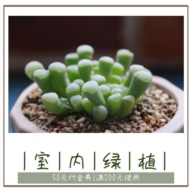 室内绿色植物代金券创意简约淘宝主图