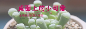 彩色手绘风小清新多肉植物盆栽淘宝banner电商海报