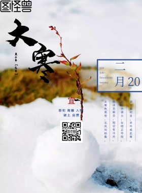  大寒节气宣传海报