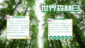 绿色清新世界森林日宣传手抄报