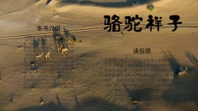 简约创意大气古风骆驼祥子读书小报