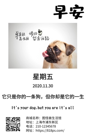 狗狗睡觉早安日签