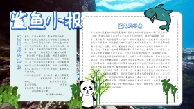 鲨鱼小报卡通蓝色手抄报