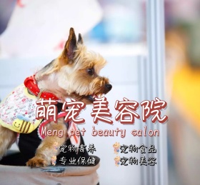 萌宠美容院