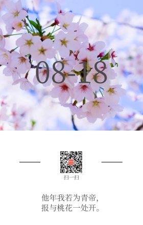 手绘花草意境日签