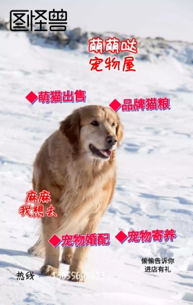 萌萌哒宠物屋