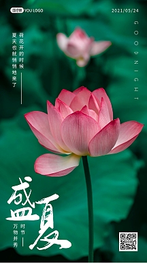 简约摄影清新唯美晚安盛夏荷花夏天植物日签