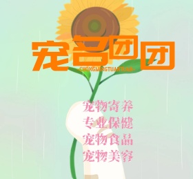 萌宠宠物可爱动物朋友圈封面