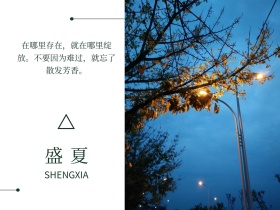 简约文艺夏日绿色小清新旅行公众号配图