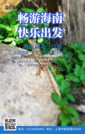 海南旅游手机营销海报