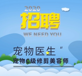 宠物可爱动物招聘诚聘朋友圈封面