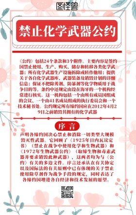 禁止化学武器公约简约手机海报