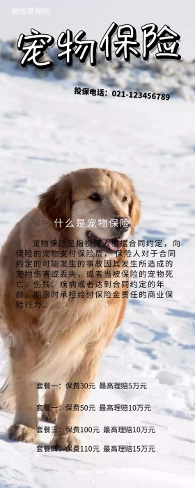 宠物保险营销长图
