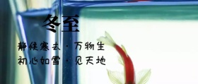 冬至+节气+吃饺子+寒冷+公众号封面