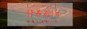 营养健康谷物淘宝banner